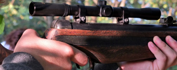 Carabine à plomb