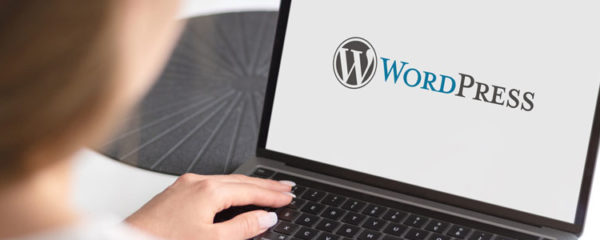 formation WordPress